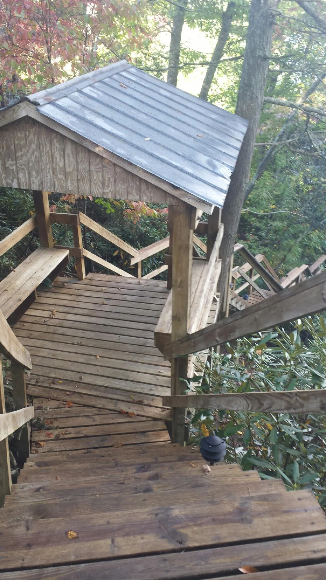 Metal roofed shelter over wooden steps on a wooded walkway — Skylight Repair & Installation work by our crew in Rainsville